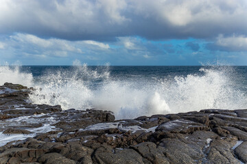 Big waves on the rocky coast. Hawaii