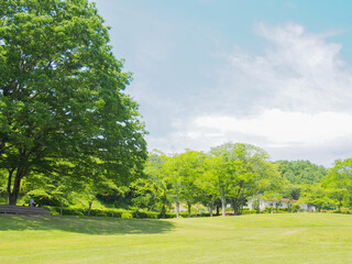 とてもきれいな岐阜の公園の青空と木々・芝生