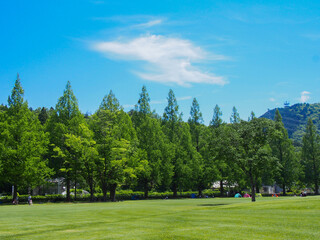 とてもきれいな岐阜の公園の青空と木々・芝生