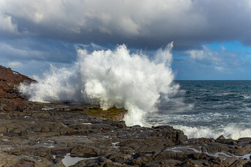 Fototapeta na wymiar Big waves on the rocky coast. Hawaii