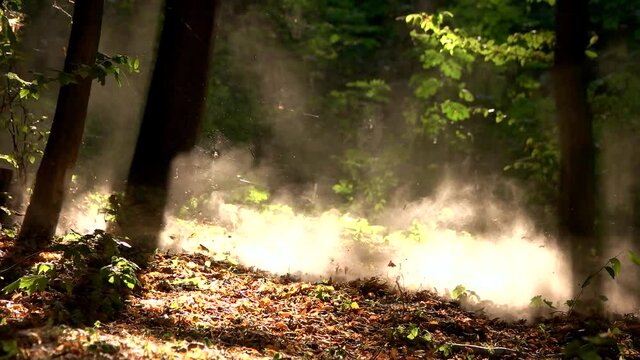 RC monster car in a forest offroad race. Radio controlled car riding fast on leaves and making dust.
