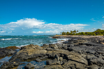 Fototapeta na wymiar Beautiful palms on the shore. Large boulder among the waves in the sea. Hawaii