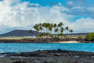 Obraz premium Beautiful palms on the shore. Large boulder among the waves in the sea. Hawaii