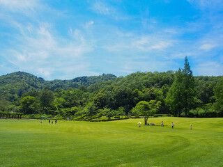Fototapeta na wymiar とてもきれいな岐阜の公園の青空と木々・芝生