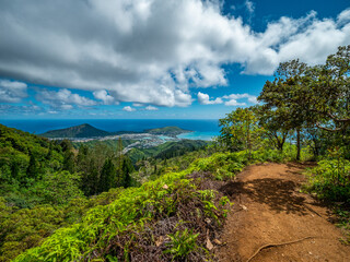 Fototapeta na wymiar Paths on hills. Blue sky over green mountains. Amazing view of the ocean. Kuliouou Ridge Trail, Hawaii, Oahu