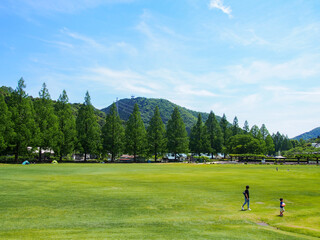 とてもきれいな岐阜の公園の青空と木々・芝生