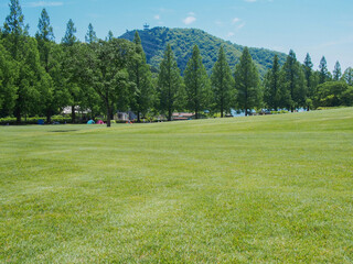 Fototapeta na wymiar とてもきれいな岐阜の公園の青空と木々・芝生