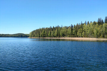 Beautiful blue lake near the green forest on a sunny day.