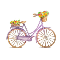 Fototapeta na wymiar Retro purple bicycle, wooden box with flowers