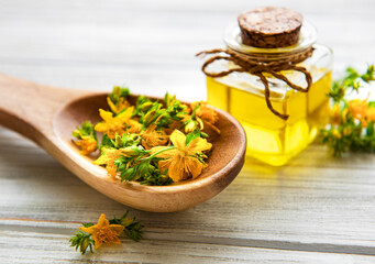 St. John's wort on the wooden spoon and natural oil