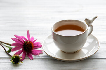 Echinacea tea with  fresh flowers.