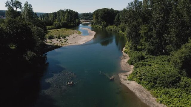 Peaceful River Bending Through Forest Trees on Sunny Summer Day in pacific Northwest