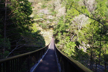 Bridge in Mitarai Valley, Nara Prefecture, Japan