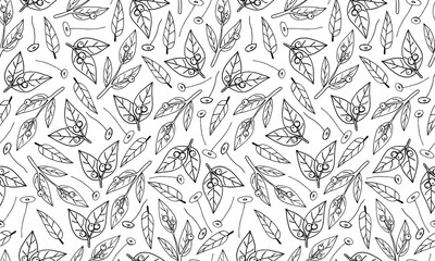 Plant branches and leaves. Hand drawn doodle illustration. Seamless pattern with vector elements. Natural template for autumn design, print, greeting card, sticker pack