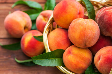 Freshly picked peaches in basket on a brown wooden background. Ripe peaches in basket on wooden table