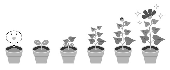植物　育成　育成　成長　モノトーン