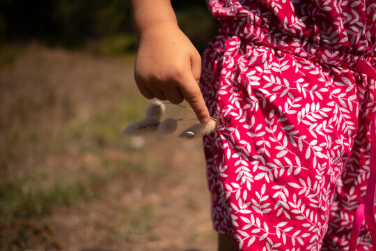 Ni&ntilde;a recogiendo plantas y tocando una concha pegada a una de ellas