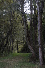Landscape in an ancient land mine in Biscay