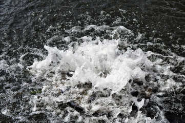 Spring, a stream of water hits through the water surface.