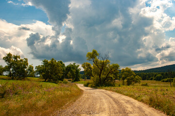 Fototapeta na wymiar Czeremcha, Little Beskid, The Hungarian route, The Road