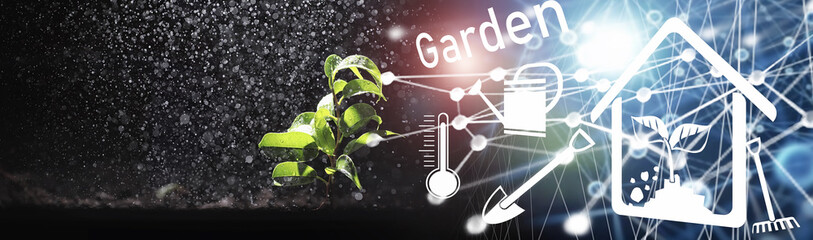 Green sprout on the ground. Spring concept. Seedlings in the ground. Updating nature is an idea. Hands plant a sprout in the ground.