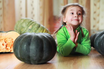 Fototapeta premium Little child choose a pumpkin at autumn. Child sitting on giant pumpkin. Pumpkin is traditional vegetable used on American holidays - Halloween and Thanksgiving Day.
