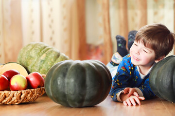 Fototapeta premium Little child choose a pumpkin at autumn. Child sitting on giant pumpkin. Pumpkin is traditional vegetable used on American holidays - Halloween and Thanksgiving Day.