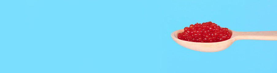 Salmon fish caviar, seafood on wooden spoon, isolated on blue background, copy space template, banner.