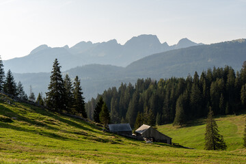 Wildhuser Schafberg in der Ostschweiz