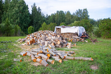 Harvesting firewood for winter season. Chopped firewood and wooden axe
