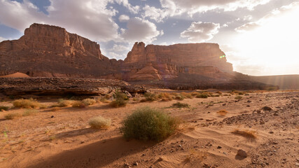 rock cathedral, algerian sahara Tassili n'Ajjer