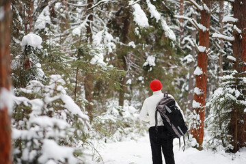 A man travels with a backpack. Winter hike in the forest. Tourist on a walk in the winter in the park.