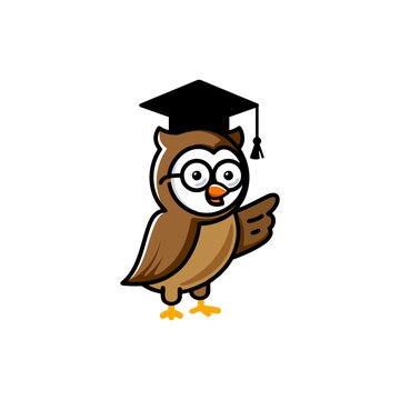 smart college education owl bird with college diploma hat cap logo mascot design illustration vector in trendy line style design 
