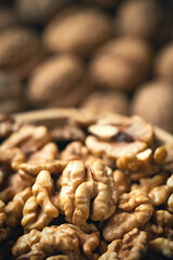 Fresh walnut kernels in a bowl and blurred whole walnuts in background. Healthy organic food, BIO viands, natural background. Copy space for your advertising text message