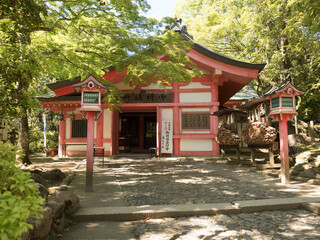 Santuario Kasuga Taisha, en Nara, Japón