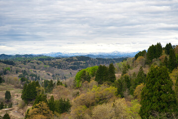 Obraz premium 棚田と曇り空
