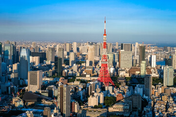 Naklejka premium 六本木ヒルズから眺める東京の街並み 夕方