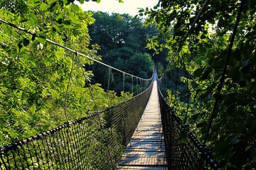wooden suspension bridge in the forest with big trees around full of green leaves