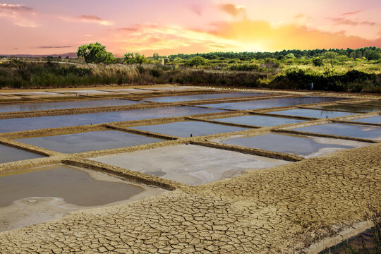 Ile d'Ol&eacute;ron. Grand-Village-Plage. Soleil levant sur les marais salants. Charente-Maritime. Nouvelle-Aquitaine	