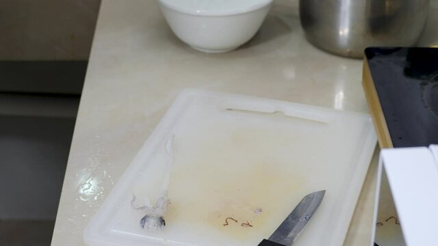 Woman housewife holds and cleans squid in hands. Cook raw seafood on home kitchen board. Fresh cuttlefish