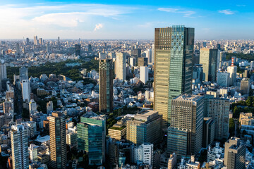 Fototapeta na wymiar 六本木ヒルズから眺める東京の街並み 夕方 六本木の街並み