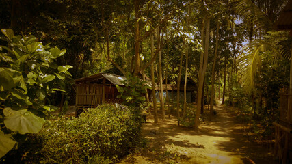 Summer in the village of ngaringan