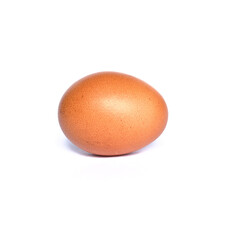 single chicken egg on white background