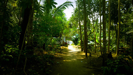 Summer in the village of ngaringan2