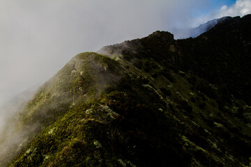 Pass to the peak at Mount Hanang Tanzania
