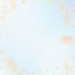 Yellow orange flower petals falling down. Impressi