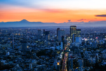 六本木ヒルズから眺める東京の街並み 夕暮れ 渋谷・富士山方面