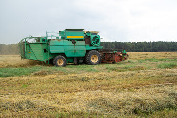 Green grain harvester removes wheat on the field. The harvester's reaper is close-up. Cleaning...