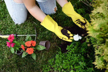 Woman in gloves planting flowers in the garden