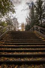 stairs in a park covered with leaves in autumn in Spain